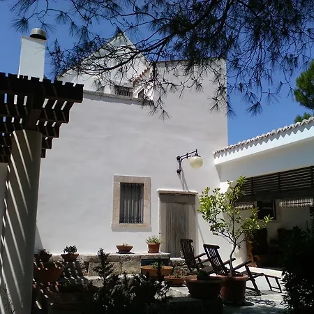 Luxurious Holiday In Apulia With Sea View Holiday home