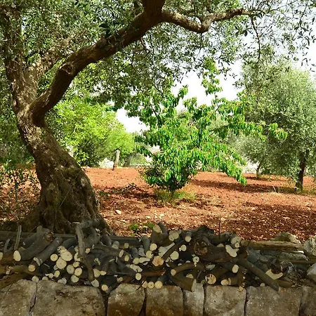 Luxurious Holiday In Apulia With Sea View * Putignano